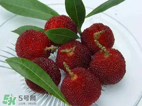 楊梅籽可以吃嗎？吃楊梅籽有什么好處？