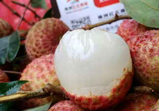白糖罌荔枝怎樣保果的？白糖罌荔枝和白蠟的區(qū)別