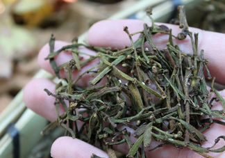 螃蟹腳茶哪些人不能喝？螃蟹腳茶哪些人能喝