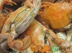 花蓋蟹死了能吃嗎？花蓋蟹死多久之內(nèi)能吃？