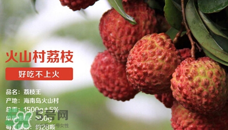 荔枝王是什么品種？荔枝王多少錢(qián)一斤2017？