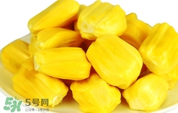 菠蘿蜜軟了還能吃嗎？菠蘿蜜軟了怎么辦？