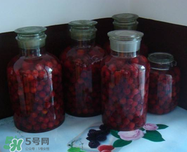 泡楊梅酒用什么瓶子？楊梅酒可以用塑料瓶泡嗎？