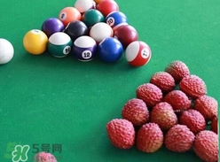 荔枝王的產(chǎn)地是哪里？荔枝王產(chǎn)地在哪兒