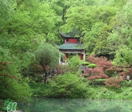 7月份去長(zhǎng)沙穿什么？七月份去長(zhǎng)沙穿什么衣服