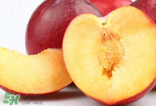 紅布林和黑布林哪個好？紅布林與黑布林的區(qū)別