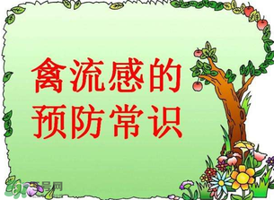 6月有禽流感嗎？2017年6月有禽流感嗎？