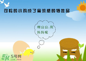 6月有禽流感嗎？2017年6月有禽流感嗎？