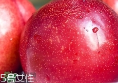 桃駁李是轉(zhuǎn)基因嗎？桃駁李是不是轉(zhuǎn)基因