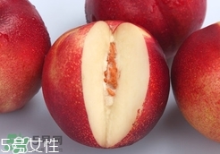 桃駁李是油桃嗎？桃駁李和油桃的區(qū)別