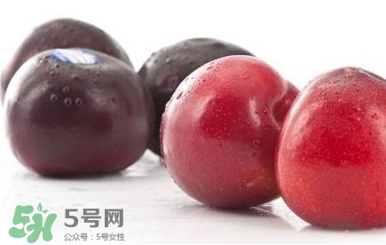 紅布林和黑布林哪個好？紅布林與黑布林的區(qū)別