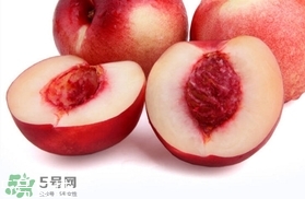 桃駁李是油桃嗎？桃駁李和油桃的區(qū)別