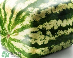 方形西瓜是如何種出來(lái)的？方形西瓜是怎么長(zhǎng)成的