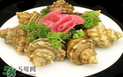 海螺是蒸還是煮？海螺的尾部是黃還是屎