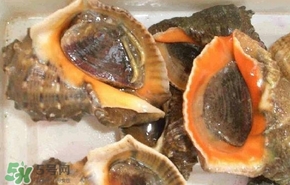 海螺是發(fā)物嗎？海螺是不是發(fā)物