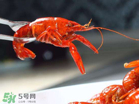 潛江小龍蝦有什么特色？潛江龍蝦節(jié)是每年什么時(shí)候？ 