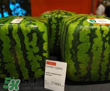 方形西瓜哪里有賣的？哪里可以買到方形西瓜