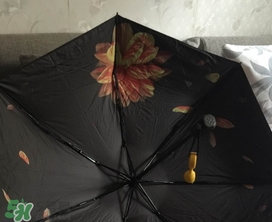 蕉下小黑傘能遮雨嗎？蕉下太陽傘能淋雨嗎？