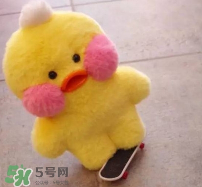 玻尿酸鴨哪里可以買到？一個玻尿酸鴨多少錢？