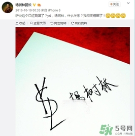 YSL為什么叫楊樹(shù)林口紅 YSL為啥叫楊樹(shù)林