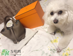 菜籃子包是什么牌子？菜籃子包是哪個品牌的？