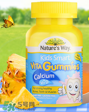 Nature's Way好嗎 Nature's Way保健品怎么樣？