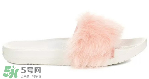 ugg royale小毛王拖鞋有哪幾種顏色？ugg小毛王拖鞋顏色有幾款？