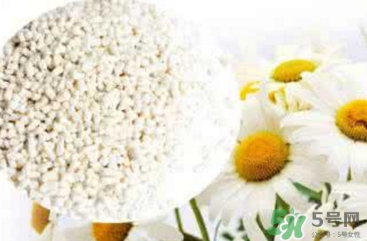 菊花晶是熱性還是涼性？菊花晶嬰兒可以喝嗎？