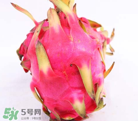 火龍果是酸性還是堿性？火龍果盆栽種植方法