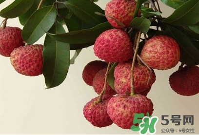 糯米糍荔枝多少錢一斤2017？糯米糍荔枝市場價格