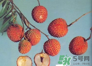 糯米糍荔枝產(chǎn)地是哪里？糯米糍荔枝上火嗎