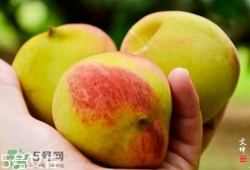 九仙桃什么時候成熟？九仙桃什么時候上市