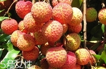 雞嘴荔枝多少錢一斤2017？香山雞嘴荔枝什么價錢