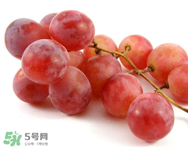 提子上的白色是什么？提子外面白色的是什么？