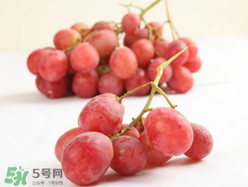 提子上的白色是什么？提子外面白色的是什么？
