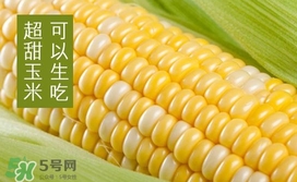 水果玉米是轉(zhuǎn)基因的嗎？水果玉米可以生吃嗎