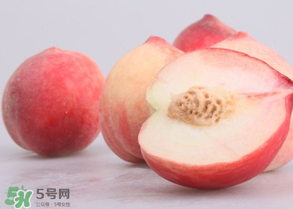 水蜜桃可以和酸奶一起吃嗎？水蜜桃酸奶的做法