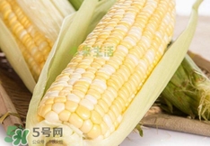 水果玉米多少錢一斤2017？水果玉米市場(chǎng)價(jià)格