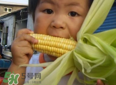 水果玉米是甜玉米嗎？水果玉米和甜玉米的區(qū)別