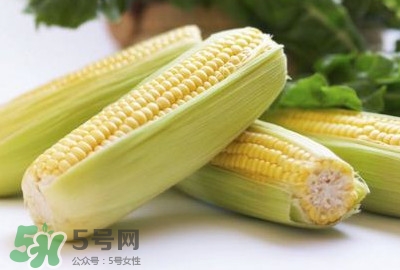 水果玉米可以多吃嗎？吃水果玉米有什么好處