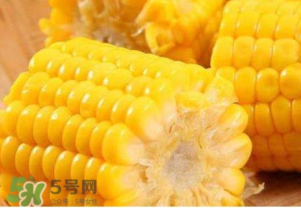 水果玉米熱量高嗎？一根水果玉米的熱量是多少