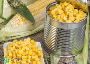 新鮮水果玉米怎么保存？水果玉米怎么儲(chǔ)存
