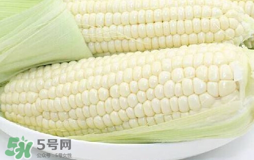 水果玉米多少錢一斤2017？水果玉米市場(chǎng)價(jià)格