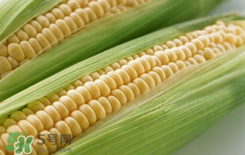 水果玉米熱量高嗎？一根水果玉米的熱量是多少