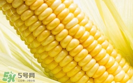 水果玉米是轉(zhuǎn)基因的嗎？水果玉米可以生吃嗎