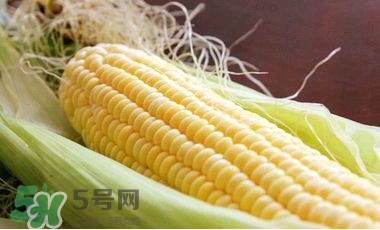 水果玉米可以多吃嗎？吃水果玉米有什么好處