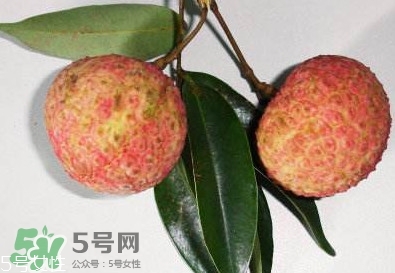 雞嘴荔枝多少錢一斤2017？香山雞嘴荔枝什么價錢