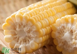 水果玉米多少錢一斤2017？水果玉米市場(chǎng)價(jià)格