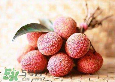 貴妃荔枝是哪里的？貴妃荔枝的產(chǎn)地是哪里
