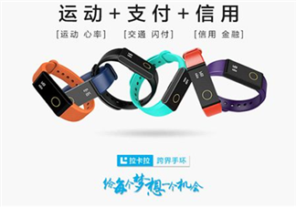 拉卡拉手環(huán)多少錢(qián)？拉卡拉手環(huán)價(jià)格